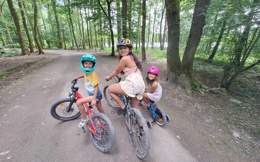 Enfants à VTT sur un chemin forestier des Ardennes