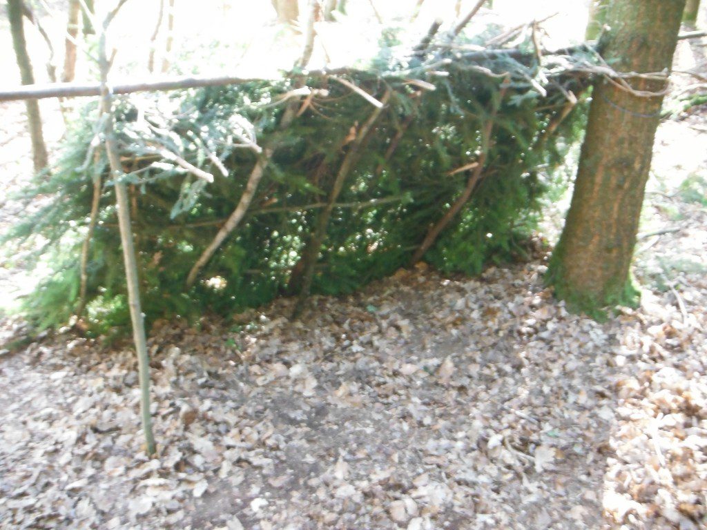 DSCF6253