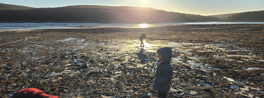Travaux Lac des Vieilles Forges 2026 - Vidange terminée
